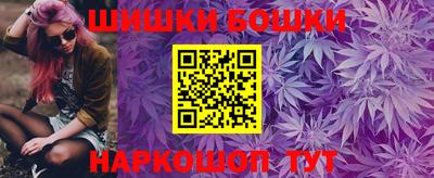 МДПВ Кингисепп