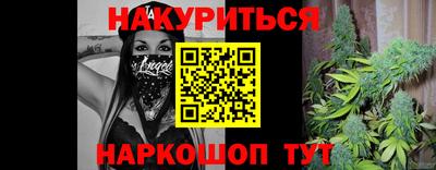 МДПВ Кингисепп