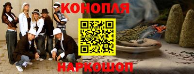 МДПВ Кингисепп