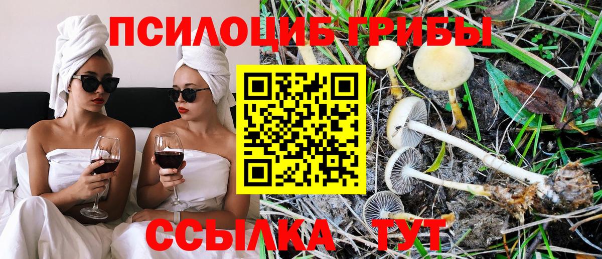 купить наркоту  Вход с VPN  Чита  Псилоцибиновые грибы Magic Shrooms 